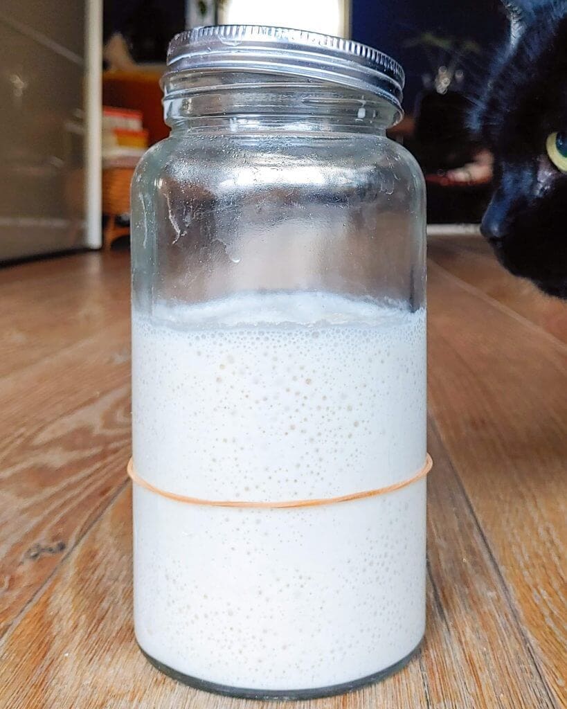 Food from Claudnine - Zuurdesembrood en zuurdesemstarter