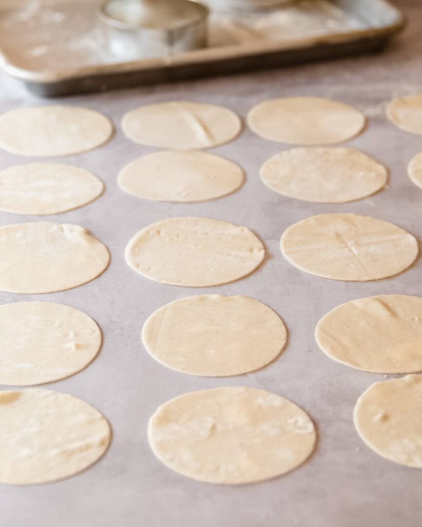 gyoza
