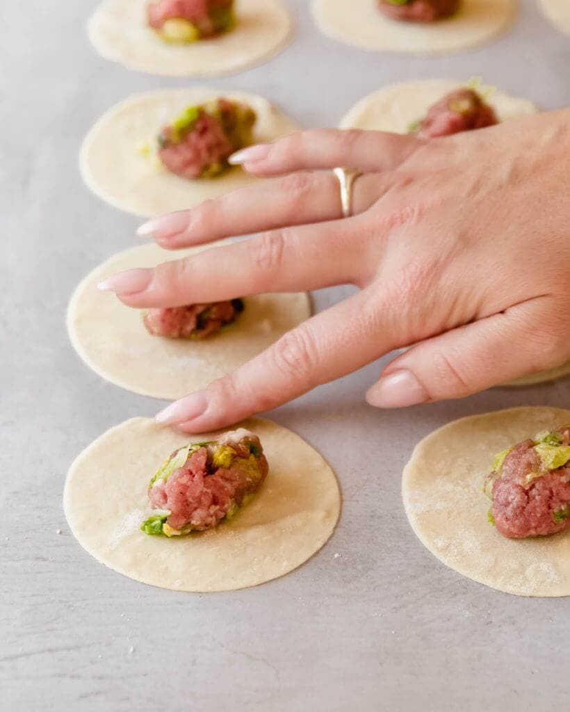 gyoza