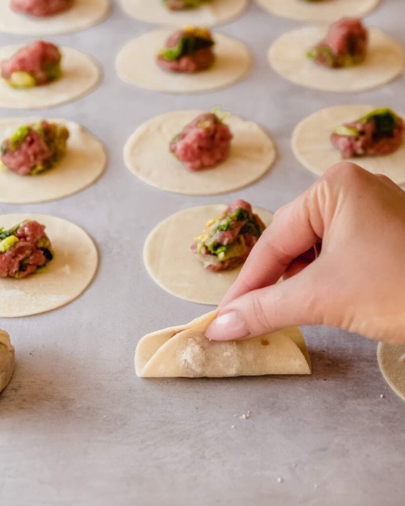 gyoza