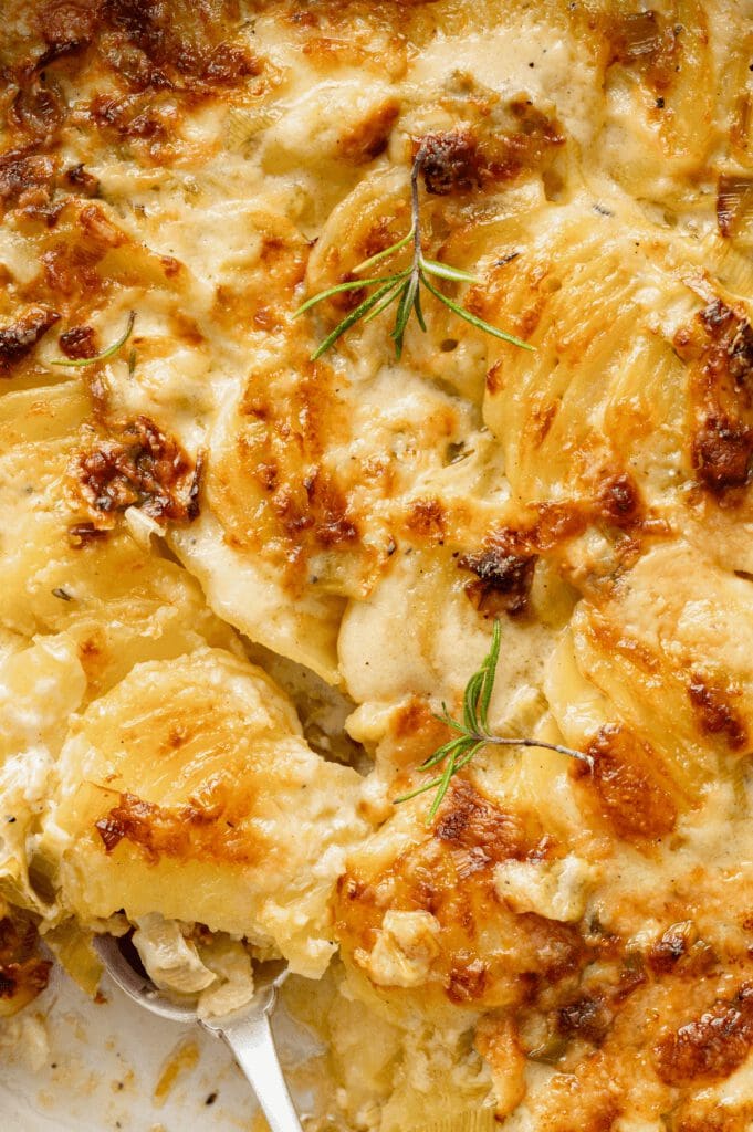 Aardappel prei gratin